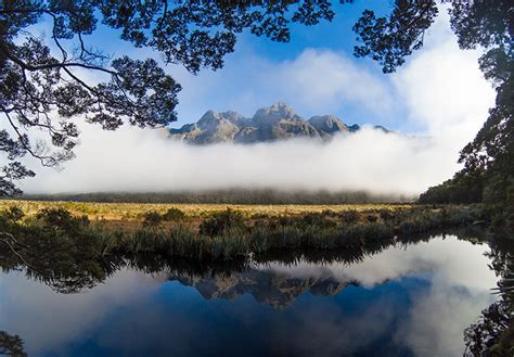 Lake matheson, near the fox glacier in south westland, new zealand, is famous for its reflected views of aoraki/mount cook and mount tasman. The Mirror Lakes, Fiordland National Park | See the South ...