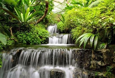Laeacco Gardening Waterfall Scenic Photography Backdrops Vinyl Photo