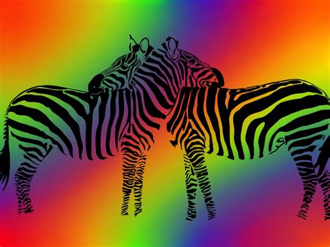 Rainbow Zebra Wallpapers 4k Hd Rainbow Zebra Backgrounds On Wallpaperbat