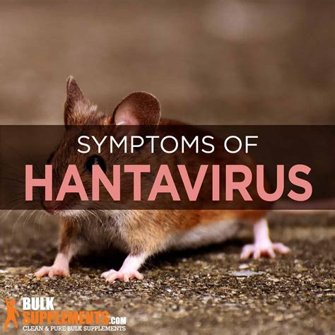 Symptoms don't develop right away; hantavirus: Face Hantavirus Rash