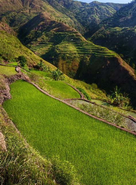 buscalan rice terraces kalinga luzon philippines flickr