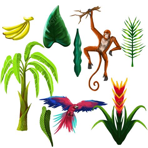 Rainforest Plants Clipart