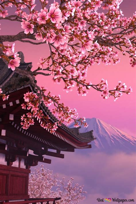 15 Beautiful Iphone Cherry Blossom Anime Wallpaper Michi Wallpaper