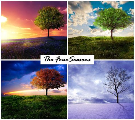The Four Seasons By Emerald Depths Four Seasons Seasons Of Life