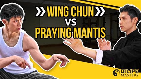 Wing Chun Vs Mantis Kung Fu Techniques Youtube