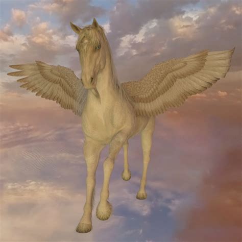 Pegasus Free Stock Photo Public Domain Pictures