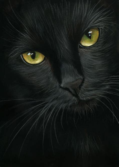 Black Cat Portrait Pastel Painting By Art It Art On Deviantart