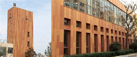 Introduction About Lopo Wood Grain Series Terracotta