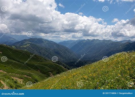 Beautiful Summer Views Of Blooming Alpine Meadows Of Caucasus Mountains