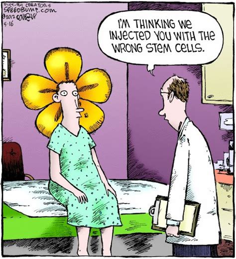 Funny Wrong Stem Cells Injection Cartoon Funny Joke Meme Pictures