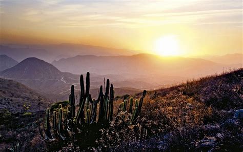 Reservas De La Biósfera En México ¿qué Son Y Cómo Visitarlas México