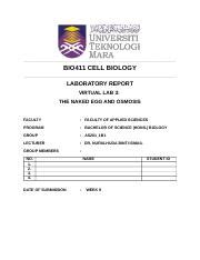 Bio Cell Biology Virtual Lab Results Docx Bio Cell Biology