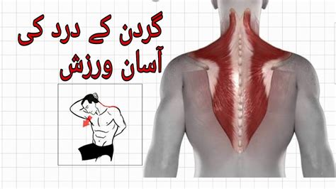 Neck Pain Exercises In Urdu Hindi Gardan K Dard Ki Warzish Neck