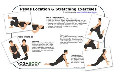 Psoas Location And Stretch Pose Chart Full Fitness From East To Wes Psoas Stretch