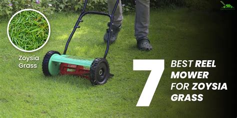 7 Best Reel Mowers For Zoysia Grass Bird And Feather