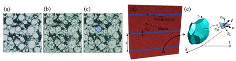 (a) Supporting particles for grain generation. (b ...
