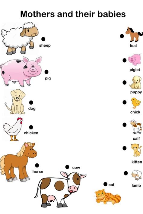 Baby Animals and their Parents in 2021 | Farm theme preschool, Animal