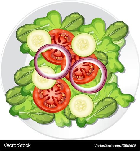 A Healthy Vegetable Salad Royalty Free Vector Image