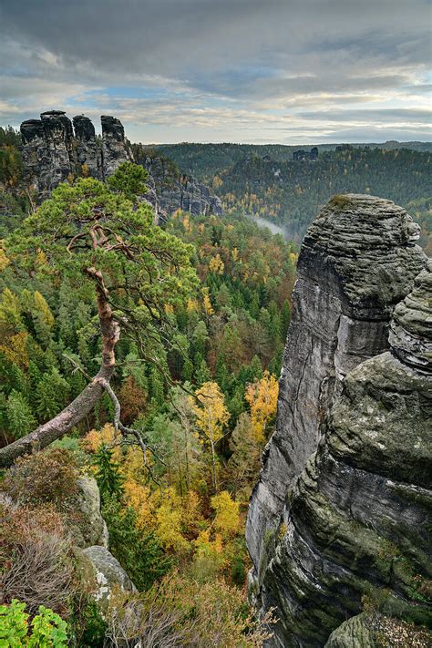 Felstürme Im Elbsandsteingebirge Bild Kaufen 71320001 Lookphotos