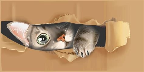 Peeking Cat Vector Art Icons And Graphics For Free Download