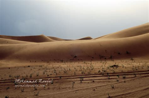 Deserts Of Saudi Arabia Splendid Arabia