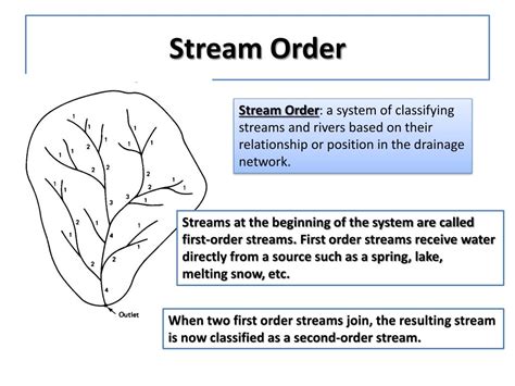 Ppt Watersheds And Stream Order Powerpoint Presentation Free