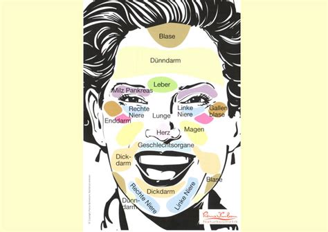 Unter diesen voraussetzungen jedoch ist die antlitzdiagnostik ein wertvolles instrument, um auf eine bestimmte krankheitsveranlagung oder die gesamtkonstitution (körperliche und seelische. VEGET Harmony