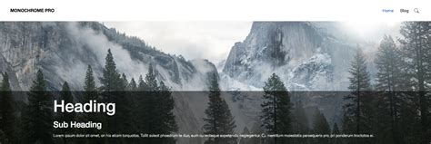 Adjust margin and padding to fit your page container and preference. Monochrome Pro Add Text Overlay With Background To Front ...