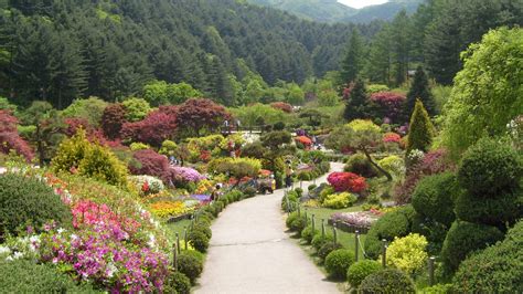 Gapyeong Day Trip Nami Island Garden Of Morning Calm Petite France