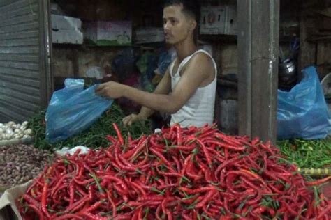 Foto  Harga Cabai Merah di Medan Tembus Rp 100 Ribu per Kg