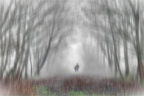 Lost In Fog Photograph By Alexey Bazhan Fine Art America