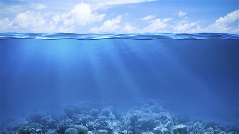Under Sea Wallpaper Photo Under Water Hd 5120x2880 Wallpaper