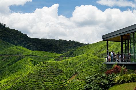 The 10 Best Things To Do In Cameron Highlands 2021 Wi