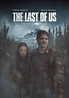 The Last Of Us Netflix - Management And Leadership
