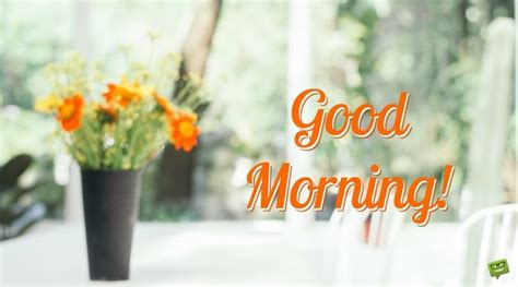 Check spelling or type a new query. Good Morning Greetings to Start your Day on the Bright ...