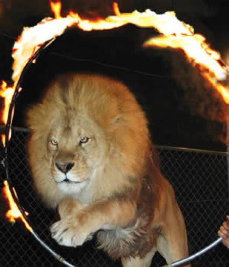 #my loins are on fire. Hollywood Animals