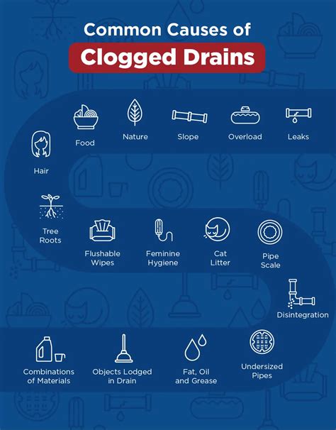 Common Causes Of Clogged Drains And How To Fix Drain Clogs