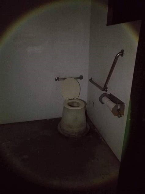 10 Cursed Toilets With Severely Threatening Auras In 2020 You Had One
