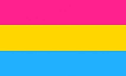 Also known as omnisexuality, pansexuality is sexual the pansexual pride flag was created to distinguish from bisexuality. LGBTQ Pride Flags | Original Pride Flags for Sale Online | UK