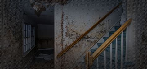 Free mold inspection miami is south floirda's #1 home mold testing company. Miami Mold Remediation - Free Mold Inspection in Miami, FL