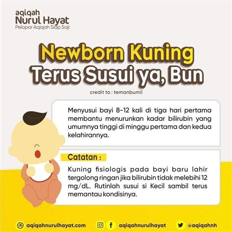 Kenali Bayi Kuning Di Bayi Seputar Bayi Disiplin Anak