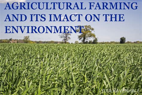 Todays Blog Post Is All About How Agricultural Farming Affects The