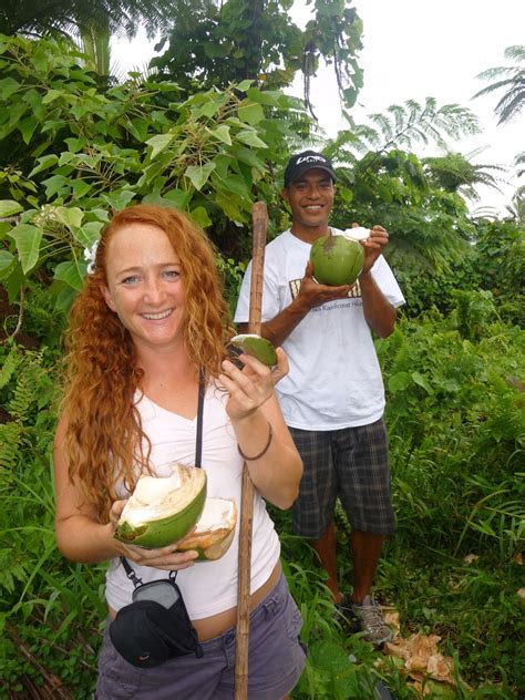 Coconuts Island Spirit