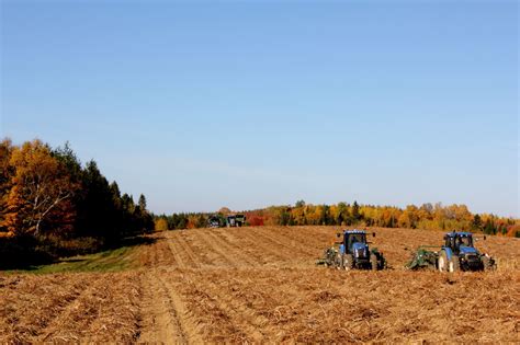 Maine Growers Happy with Harvest The amount of rain and sun was perfect ...