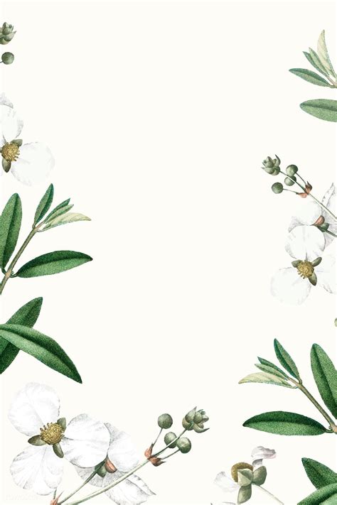 √ White Flower Background