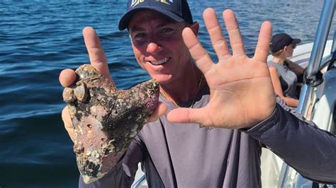 Skipper Finds Million Year Old Tooth From Foot Megalodon Shark