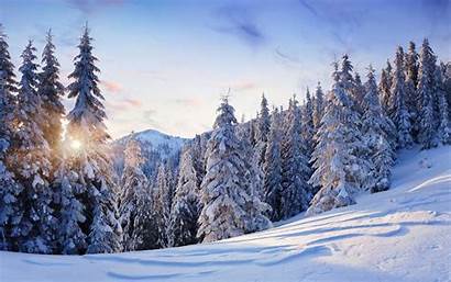 Snow Winter Trees Wallpapers Mountains Nature Mountain