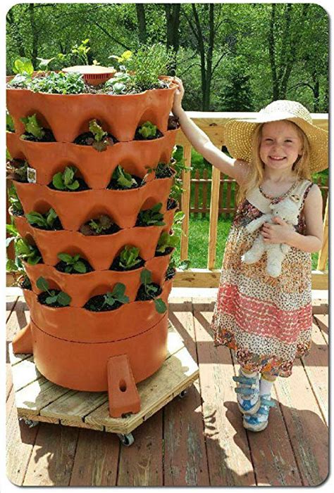 Garden Tower 2 Review Companion Planting Chart