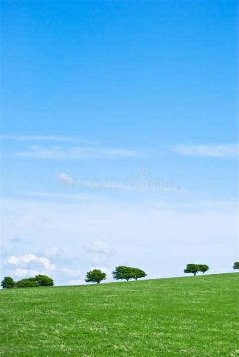 Grass Trees And Sky Portrait Stock Image Image Of Green Vertical