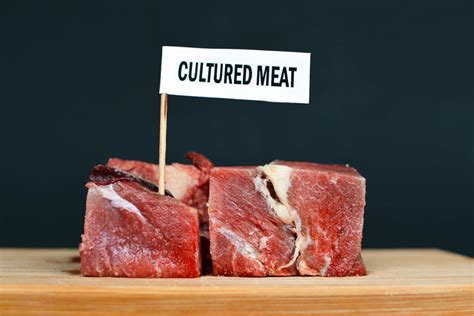 Report identifies top five global cultured meat companies